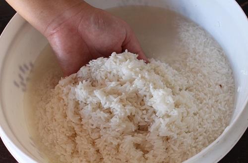 糙米放多少水 煮糙米饭的米水比例