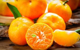 橘子柿子可以一起吃吗 橘子不能与什么同吃