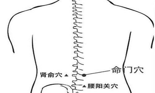 按摩肾俞