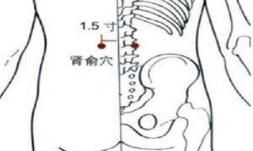 按摩肾俞