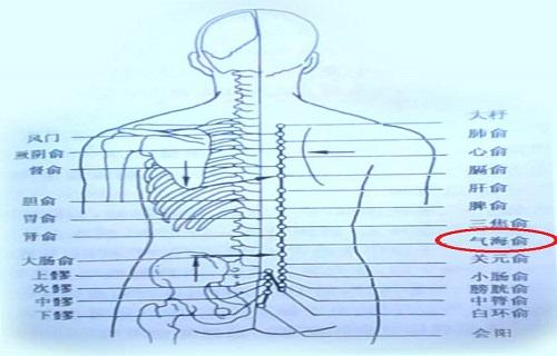 气海腧图片