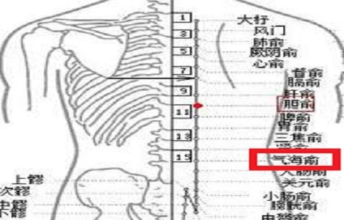 气海腧图片