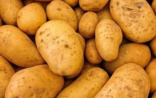 土豆不能和什么一起吃 吃土豆可以减肥吗