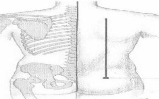 秩边的简易取法 秩边疼痛的原因