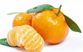 橘子和柿子能一起吃吗 橘子不能和什么一起吃