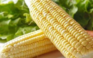 玉米含有什么营养成分 玉米吃了有什么功效