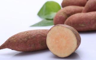 红薯在家里怎么保存 每天只吃红薯能减肥吗