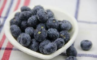 蓝莓是热带水果吗 蓝莓属于热性还是凉性