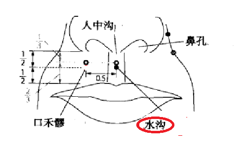 水沟准确位置图片图图片