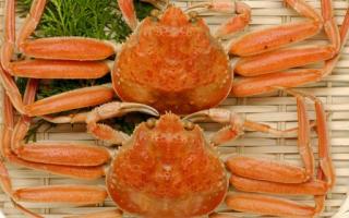 吃大闸蟹后能吃橙子吗 螃蟹和橙子吃了怎么办