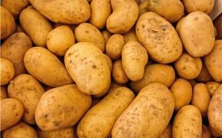 土豆有什么营养 土豆不能和什么吃