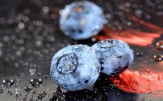 新鲜蓝莓软了还能吃吗 蓝莓变软是坏了吗