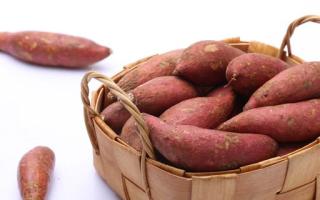 生菜和红薯能一起吃吗 吃一个月生菜瘦多少