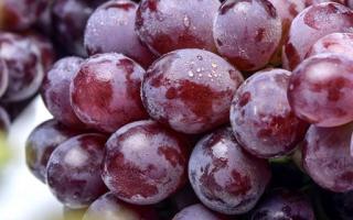 吃葡萄有哪些功效 吃葡萄的好处