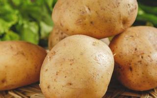 土豆可以放冰箱储存吗 土豆怎么保存比较好