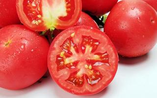 西红柿可以治疗口腔溃疡吗 快速消除口腔溃疡的方法