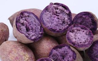 紫薯和土豆能一起吃吗 紫薯和土豆同食需注意！