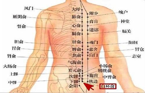 白环俞