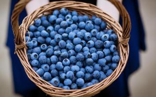 如何清洗蓝莓才最干净 蓝莓洗完后如何保存