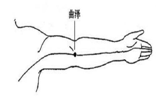 尺泽和曲泽