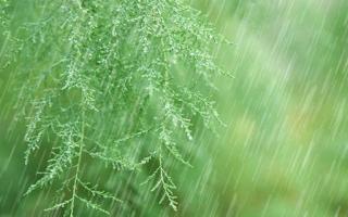 雨水干净吗 下雨过后要洗车是误区