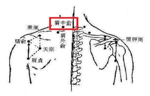 肩中俞