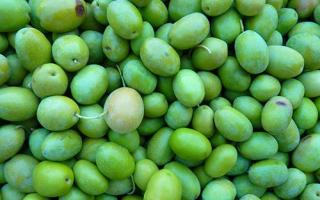 橄榄属于水果吗 橄榄有什么功效与作用