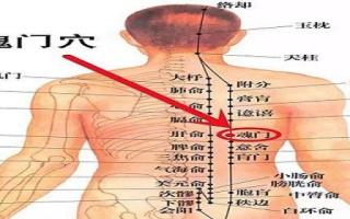 魂门的位置及作用 魂门的准确位置图片