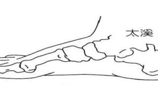 太溪怎么找最简单 太溪的作用