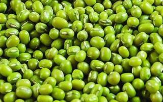 绿豆的营养价值 绿豆吃了有什么功效