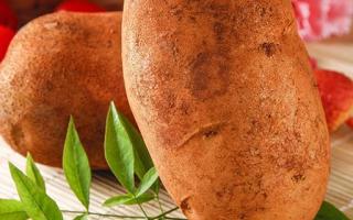 红土豆是转基因的吗 红土豆和正常土豆的区别
