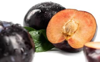 黑布林吃起来为什么会是酸的 黑布林和桃子能一起吃吗