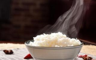 每天中午吃米饭会胖吗 大米不能和什么一起吃