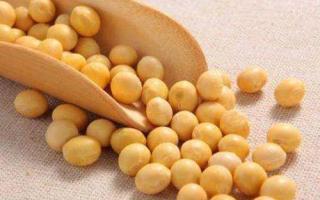 黄豆含有什么营养成分 吃黄豆有什么功效