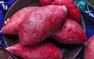 紫薯是转基因吗 紫薯一次可以吃多少
