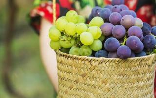 新鲜葡萄怎么保鲜 葡萄怎么保存时间长
