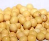 黄豆有什么营养 黄豆功效与作用及禁忌