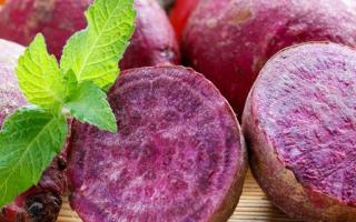 紫薯什么季节成熟 紫薯什么季节吃最好