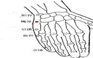 前谷的作用是什么 前谷的位置图片