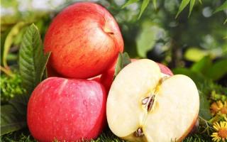 苹果饭前吃好还是饭后吃好 不吃饭吃苹果能减肥吗
