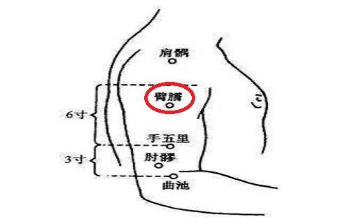 肘髎的准确位置图片图片