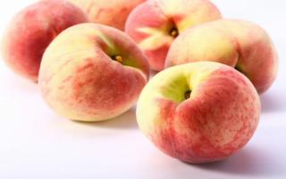 桃子吃了会胖吗 减肥期间可以吃桃子吗