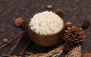 米饭馒头面条哪个有利于减肥 米饭馒头面条那个更加营养
