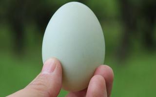 吃乌鸡蛋对女人的好处 乌鸡蛋怎么吃最补血