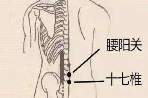 腰阳关怎么找