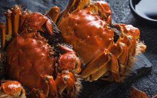 减肥期间可以吃螃蟹吗 螃蟹是增肥还是减肥