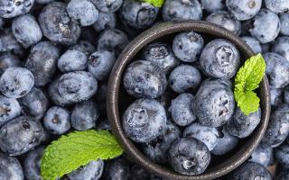 蓝莓的功效是什么 蓝莓吃了有哪些好处