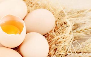 土鸡蛋能生吃吗 土鸡蛋生吃有什么害处