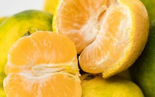 橙子和西瓜能一起吃吗 西瓜有什么食用禁忌