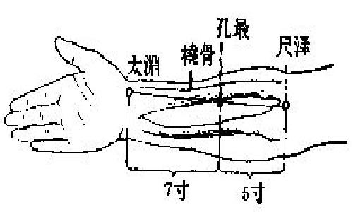 孔最的定位和主治